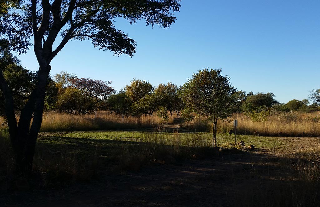Morning at camp