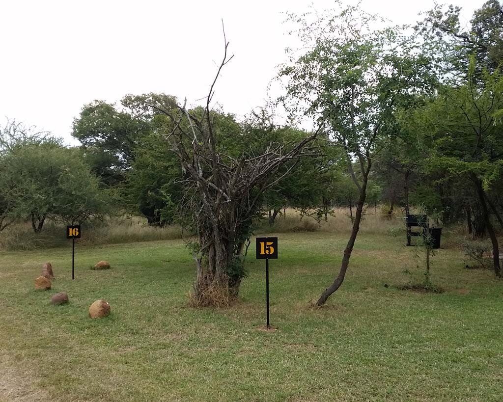 Campsite 15 &mdash; Larger Groups