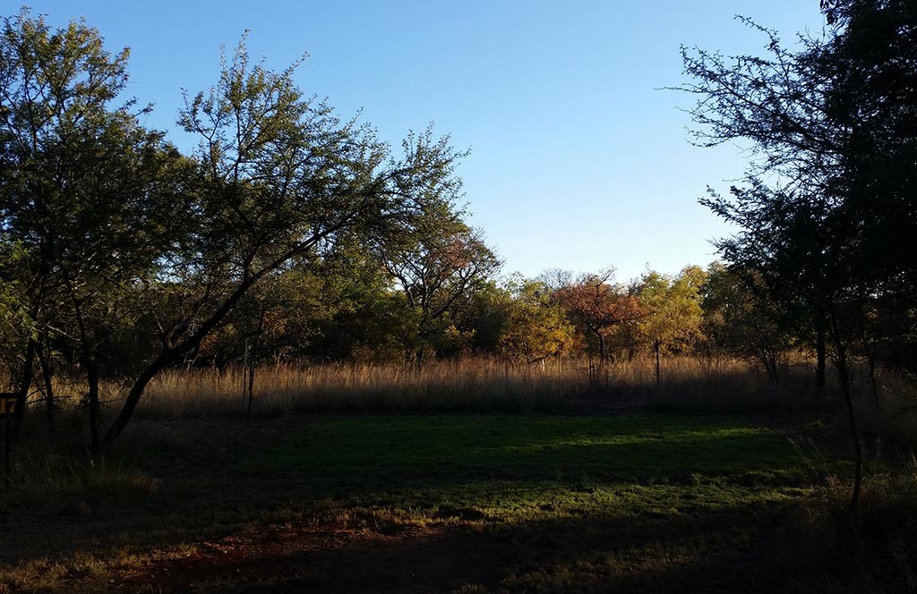 Campsite 17