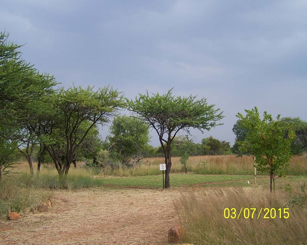 Campsite 2