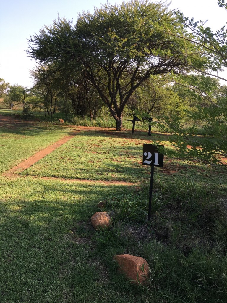 Campsite 21 &mdash; Spacious
