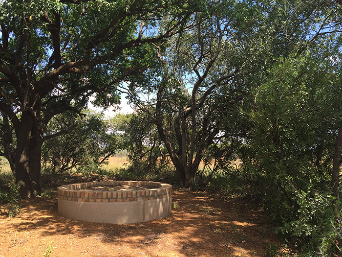 Campsite view