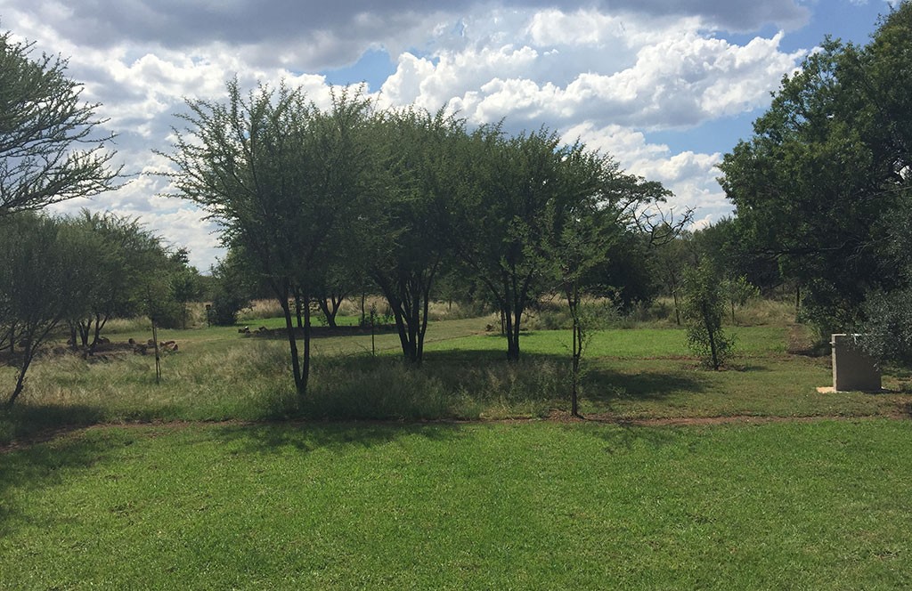 Campsite 12