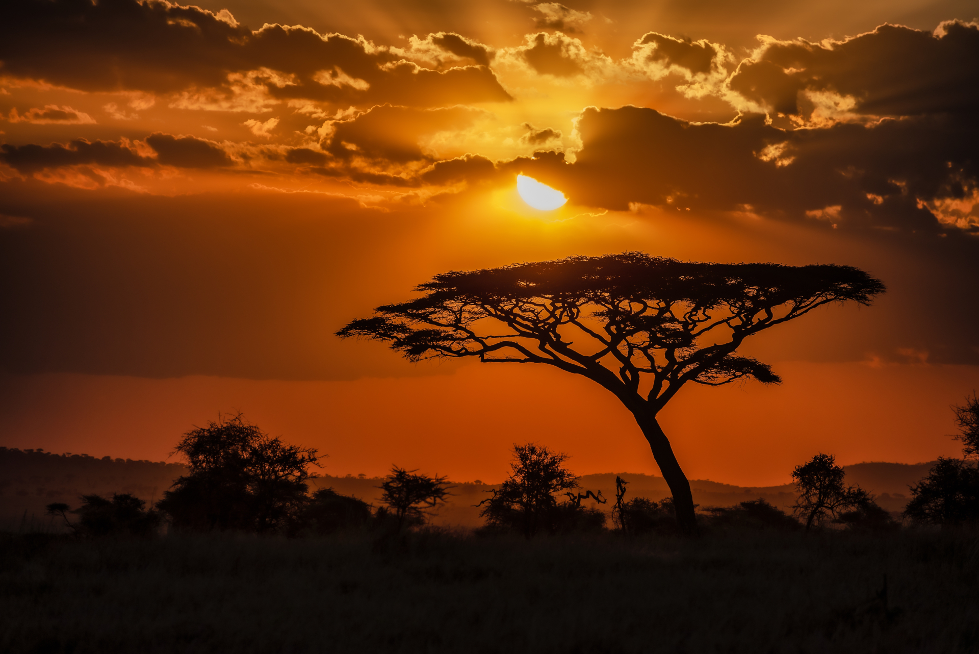 Bushveld sunset at Willem's Rus