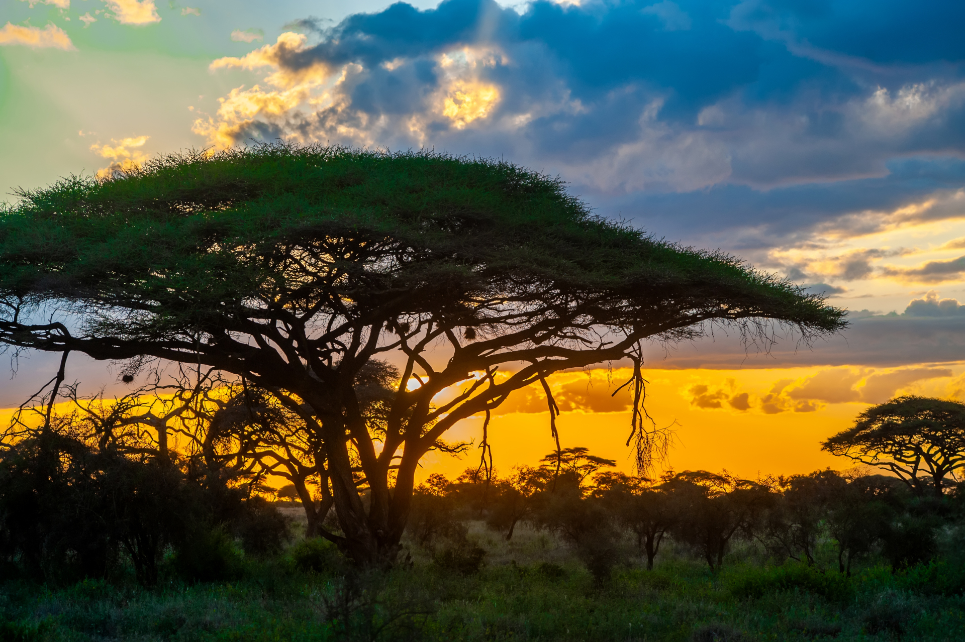 Evening colours